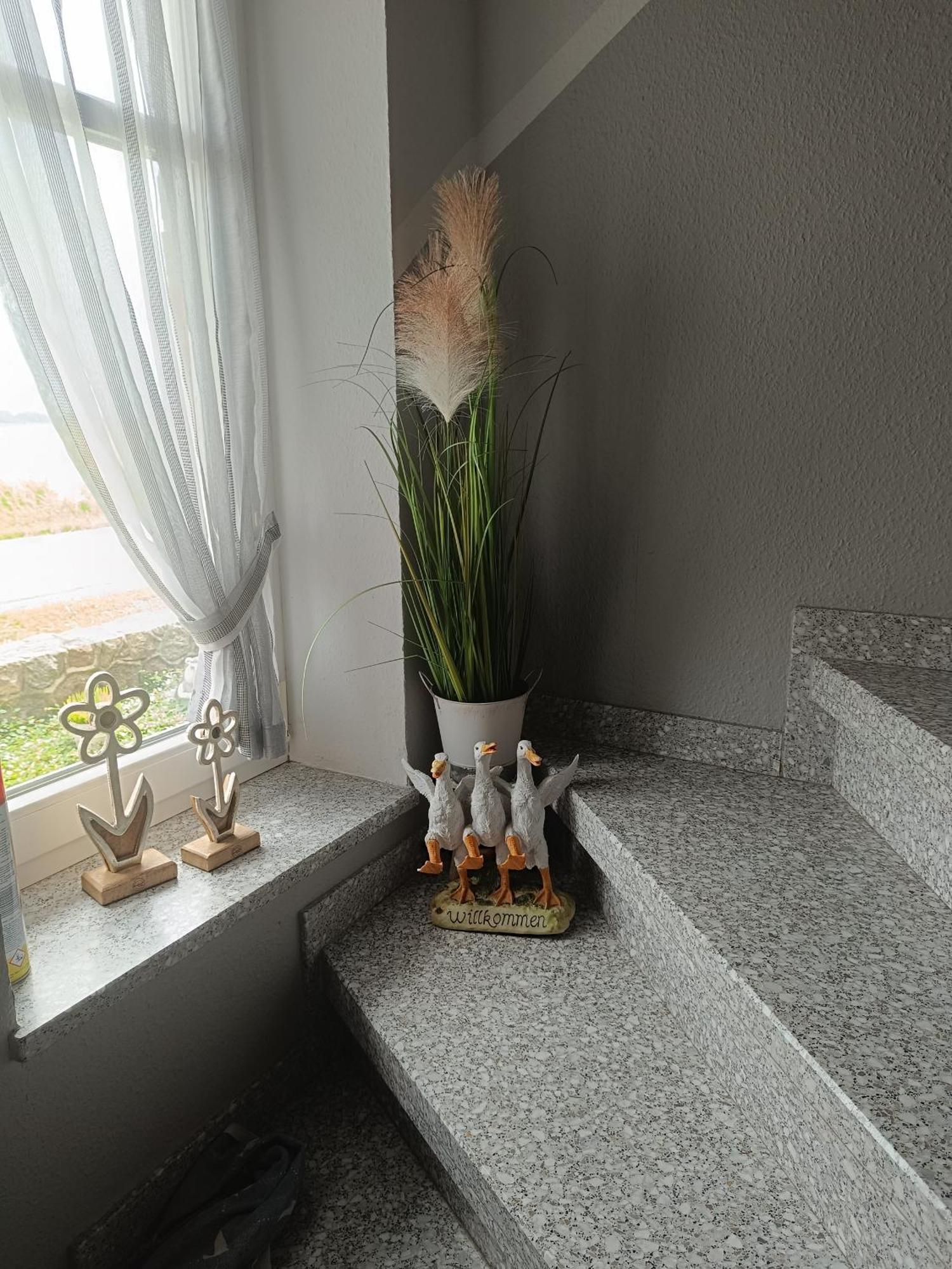 Marschblick Apartment Sudermarsch ภายนอก รูปภาพ